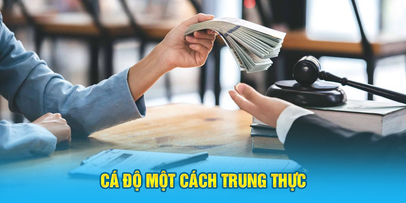 Sự chính xác của thông tin